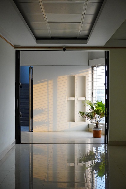 Photo of the office corridor in Vienna with paintings